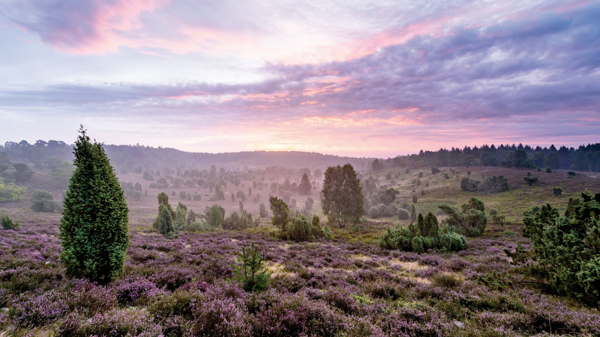 Lüneburger Heide: Totengrund