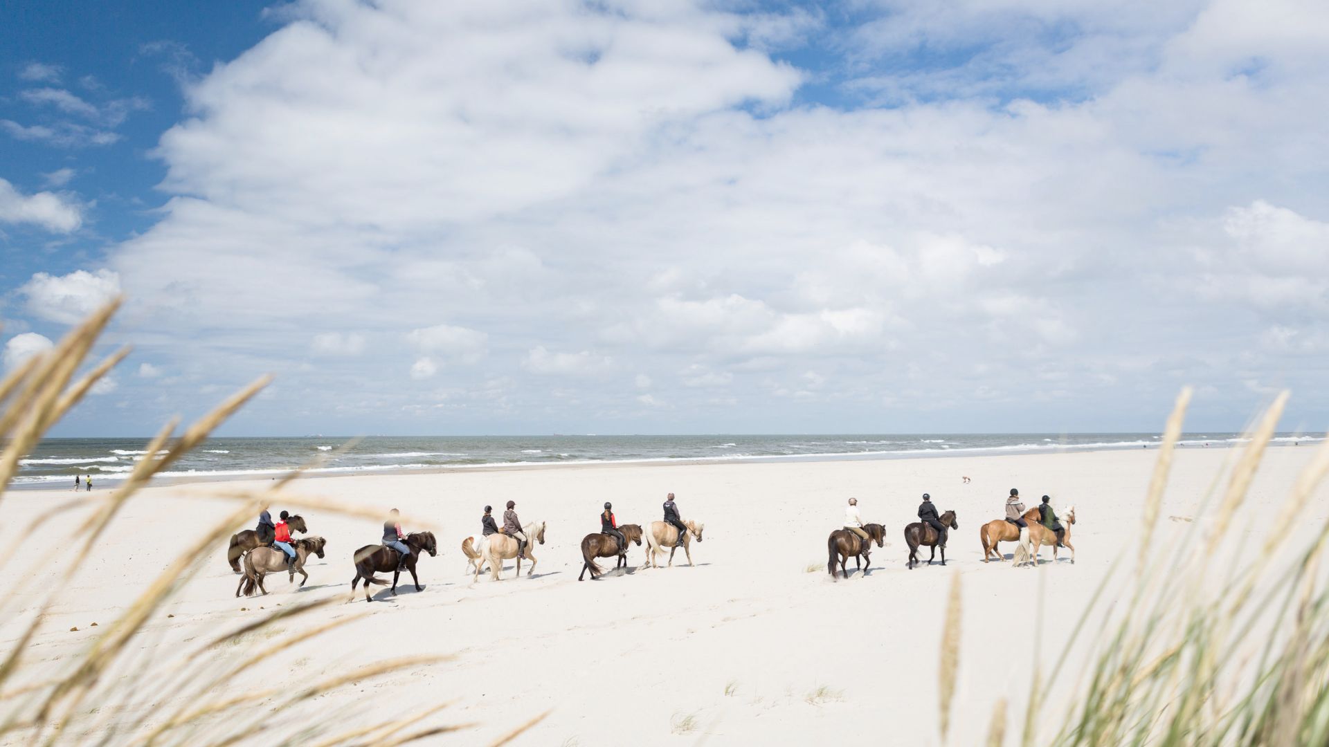 Spiekeroog: Horseman on the beach