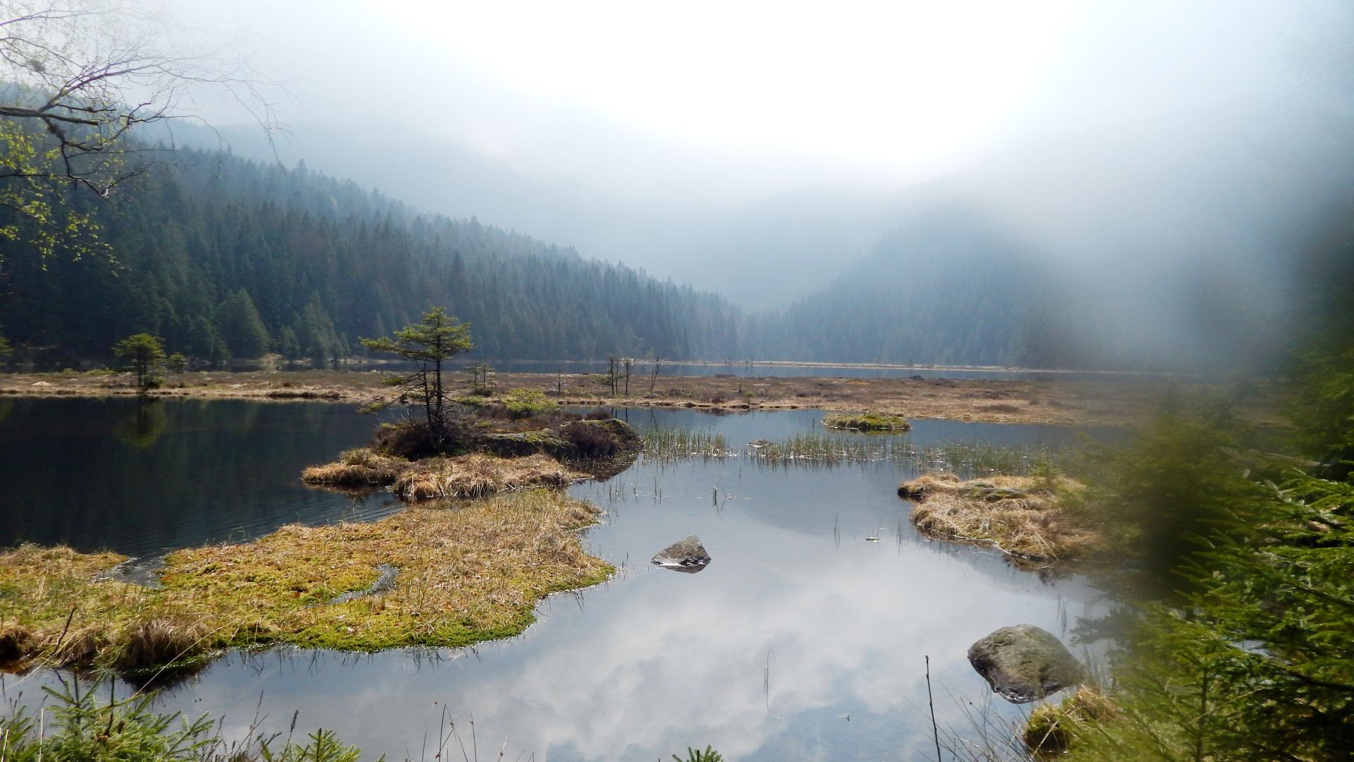 Bavarian Forest Nature Park: Lake Arber