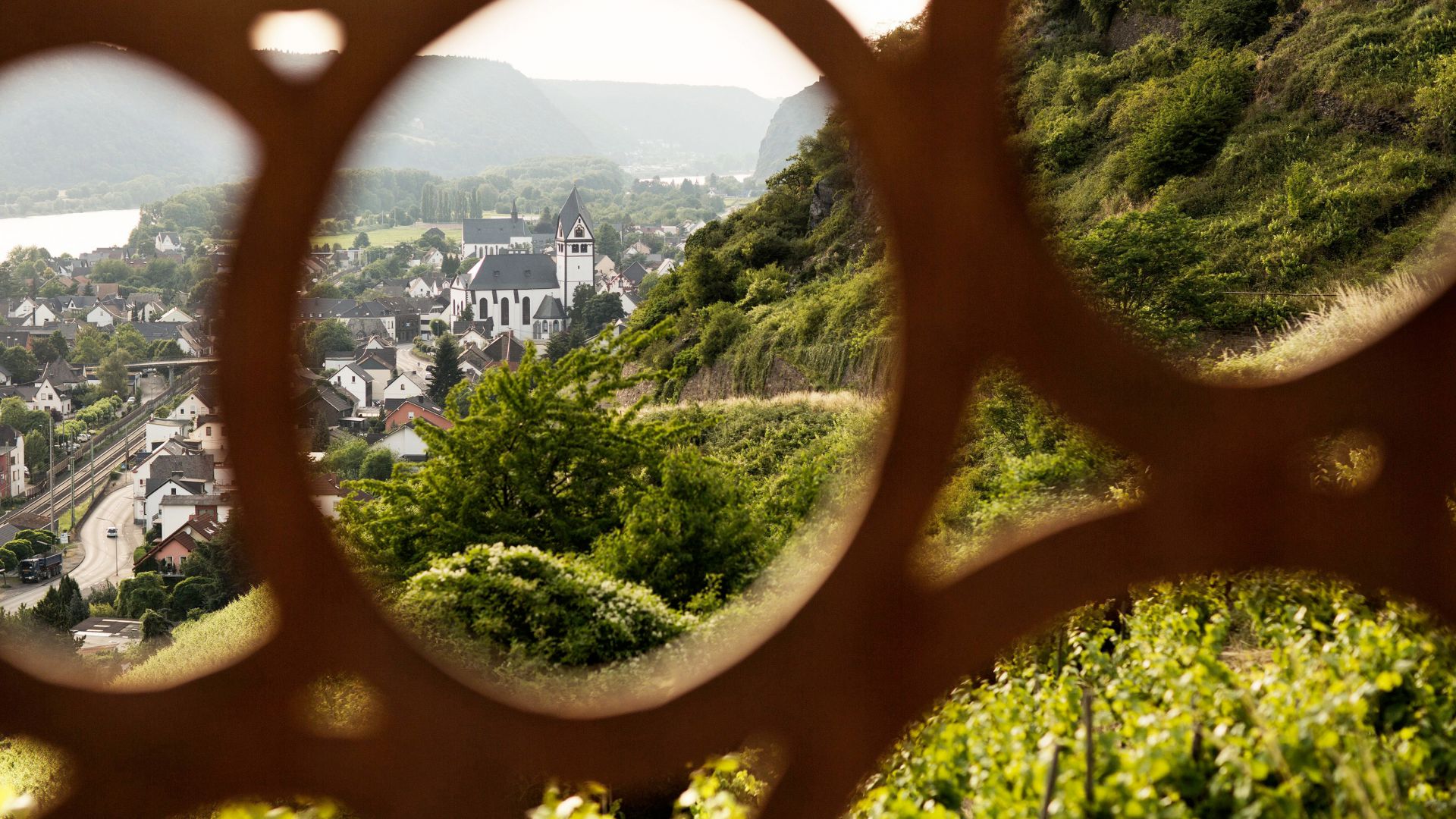 The wine-growing area Middle Rhine, Leutesdorf