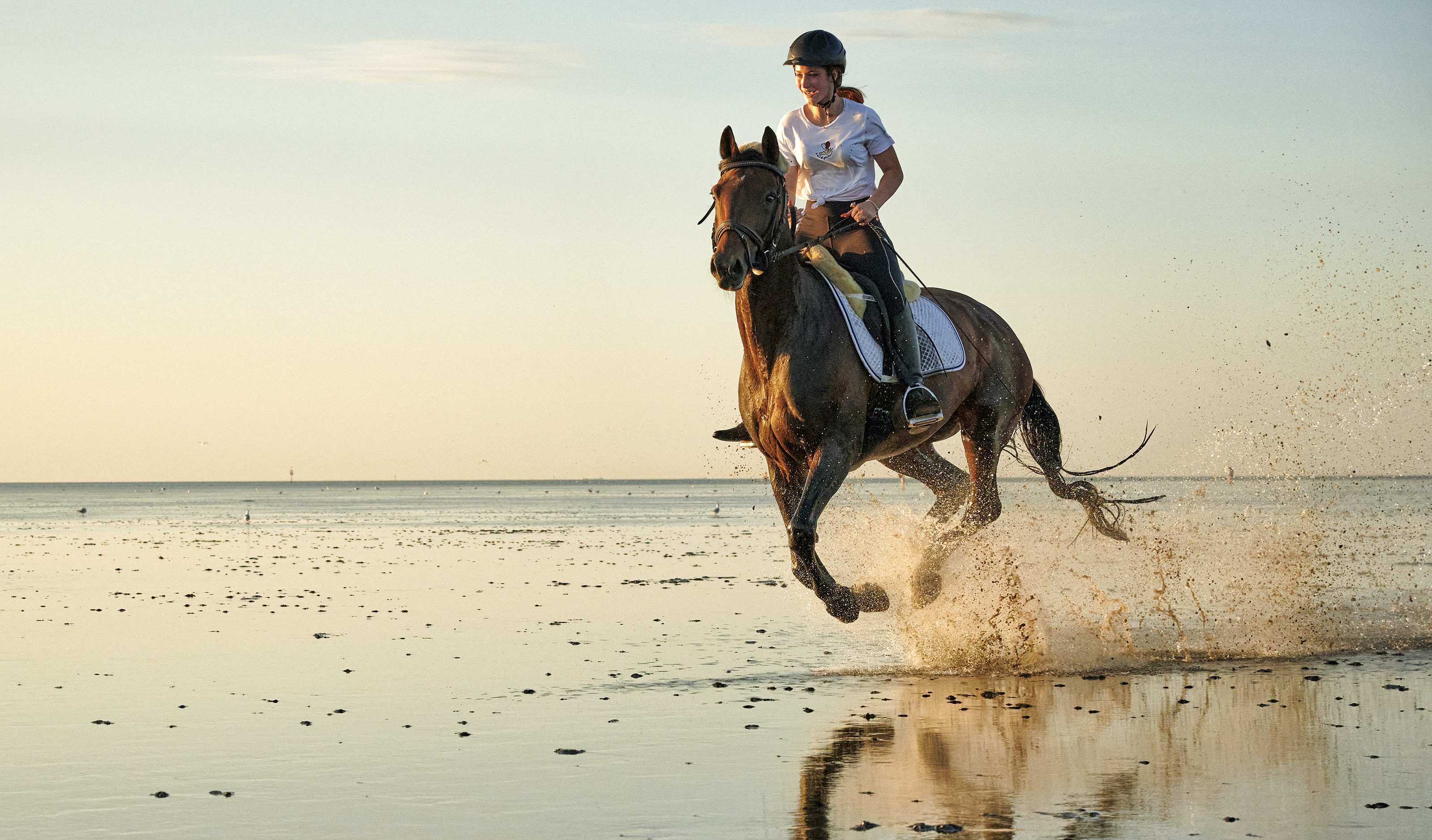 Cuxhaven: Rider on the beach