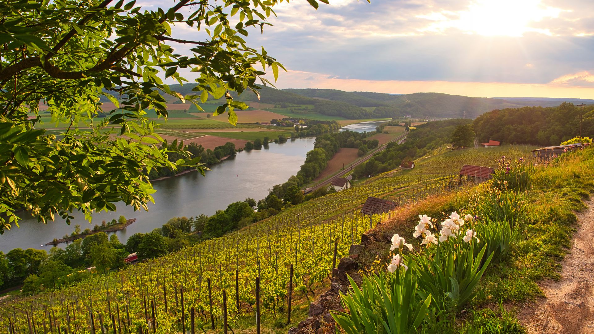 Main-Spessart: Vineyard terraces between Gambach and Karlstadt in the Grainberg-Kalbenstein nature reserve