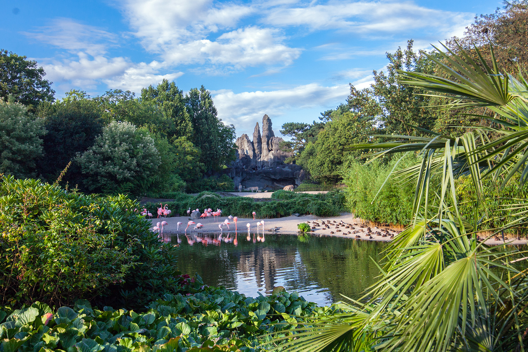 Africa Panorama at Hagenbeck Zoo