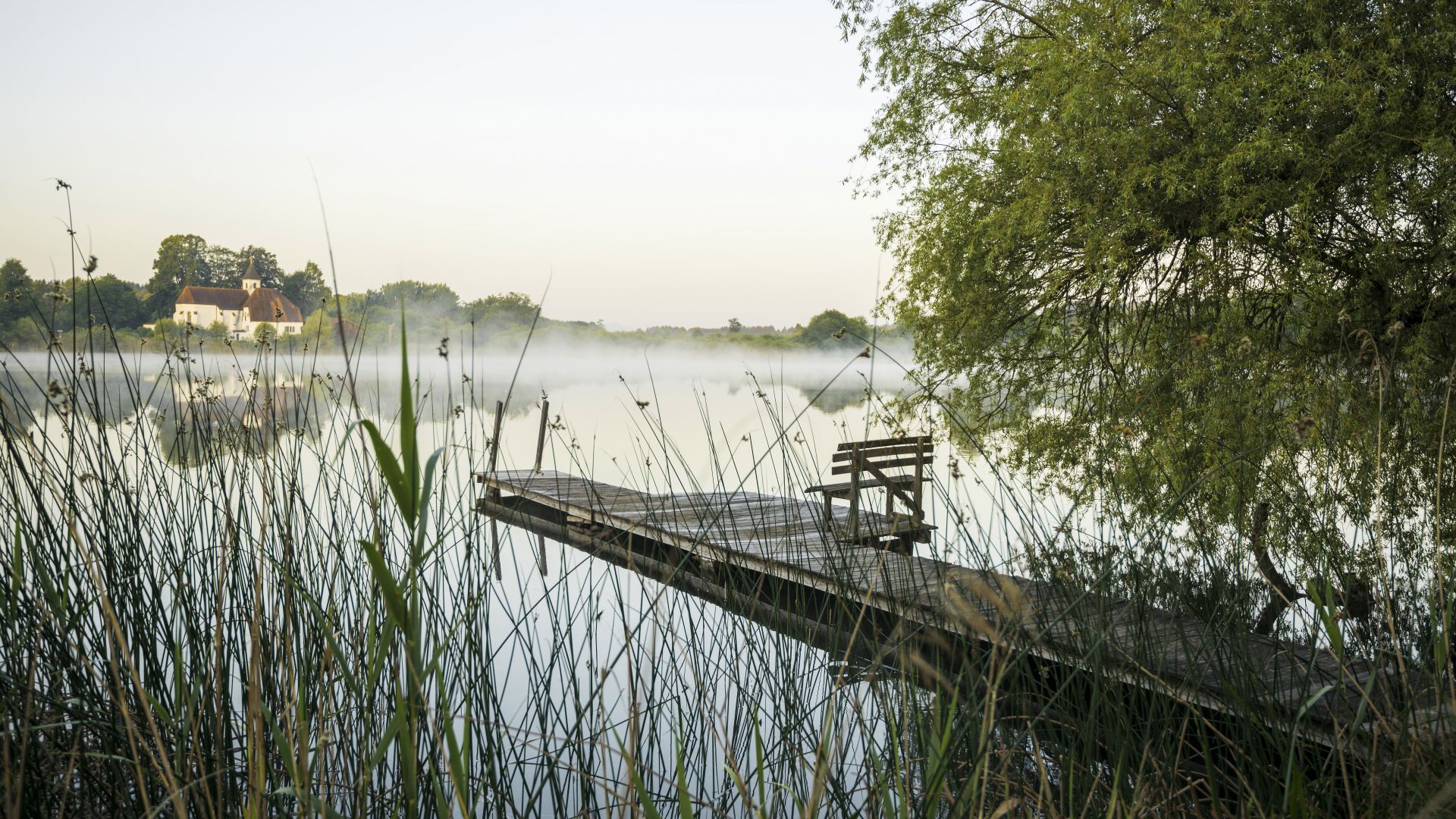 Seeon-Seebruck: Fog over the Seeon lake in Chiemgau