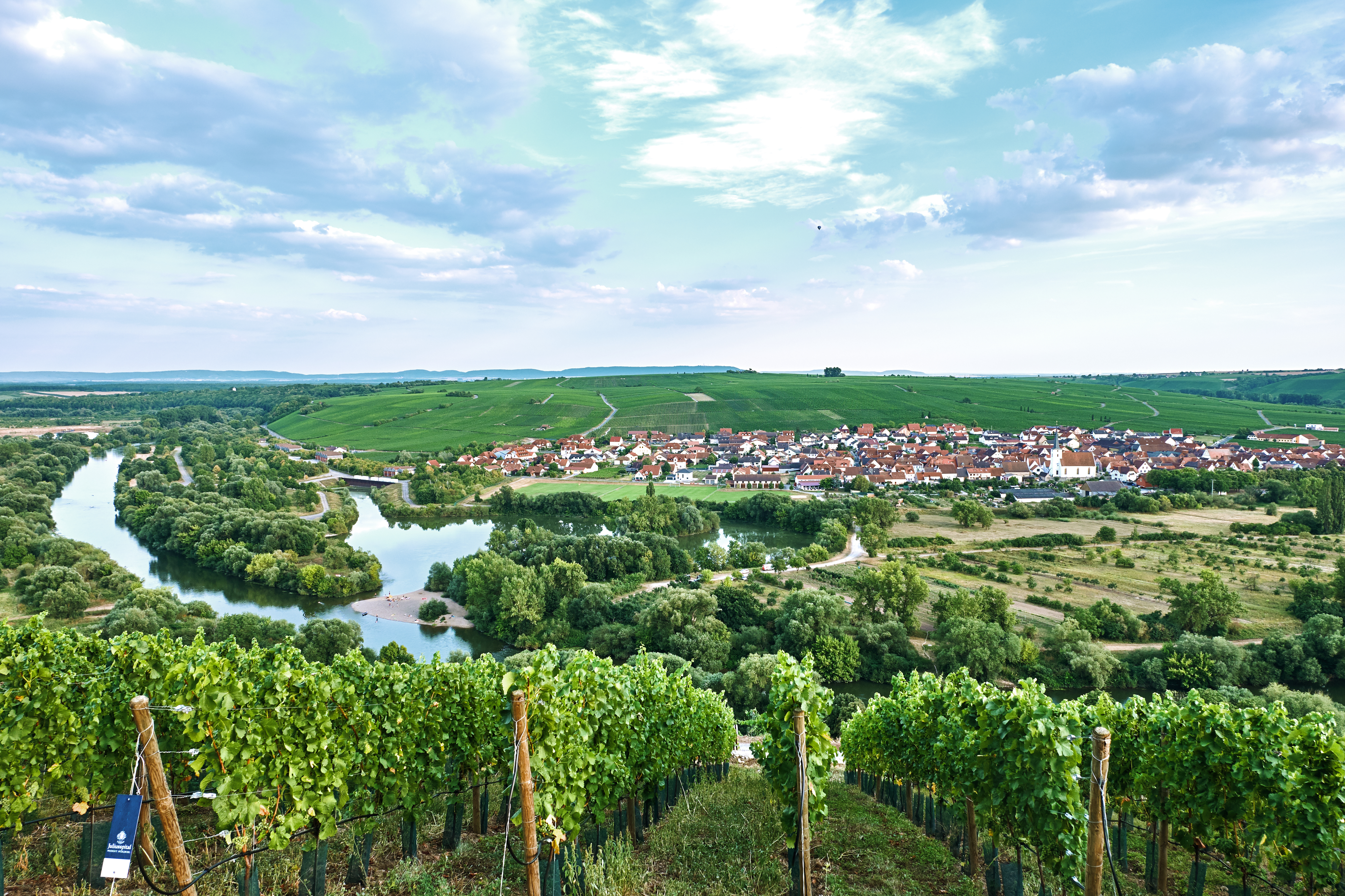 Vineyards along the river Main, Mainschleife